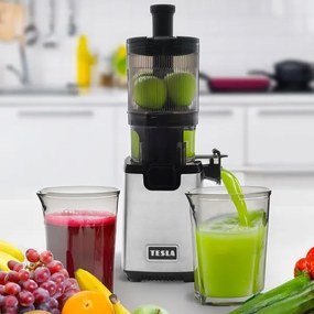 TESLA Electronics SlowJuicer Deluxe - Šnekový odšťavňovač 250W/230V nerez