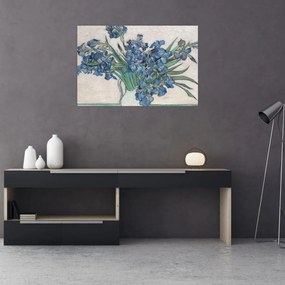 Obraz - Vincent van Gogh, Irises, reprodukcia (90x60 cm)