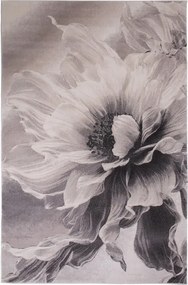 Koberec ARGENTINA 18550 V10 béžový