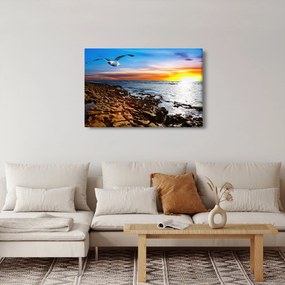 Obraz - Čajka letiaca nad pobrežím (90x60 cm)