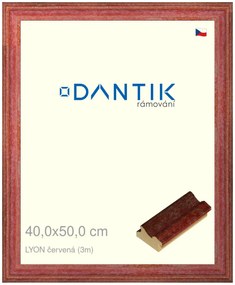 DANTIK rám na obraz 40x50 | LYON červená (Sklo Čiré)