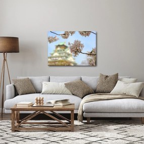 Obraz - Sakura (70x50 cm)