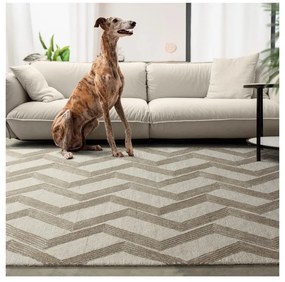 Koberec WOOD GREEN 160 x 230 cm z pravej vlny