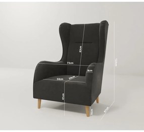Tmavosivé zamatové kreslo ušiak Carole – Ropez