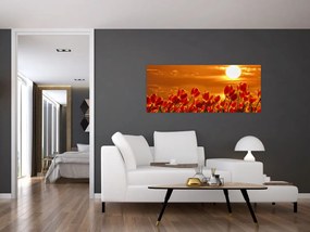 Obraz rozkvitnutého lánu s tulipánmi (120x50 cm)