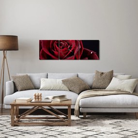 Obraz - Červená ruža (s hodinami) (90x30 cm)