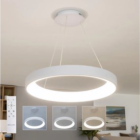 Brilagi - LED stmievateľný luster na lanku FALCON II LED/99W/230V priemer 60 cm biela + diaľkové ovládanie