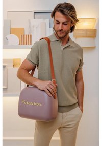 Hnedý chladiaci box 6 l Classic Gold – Polarbox
