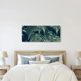 Obraz listov papradí (120x50 cm)