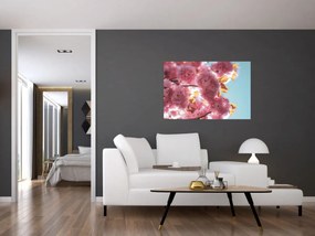 Obraz - Čerešňový kvet (90x60 cm)