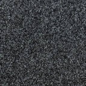 Beaulieu International Group, Koberec metráž Primavera 236, na mieru, šíře 4m, čierna, resine, chodba / predsieň