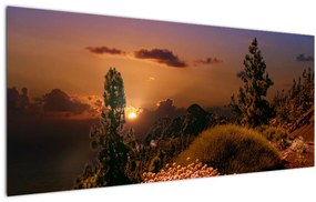 Obraz prírody pri západe slnka (120x50 cm)