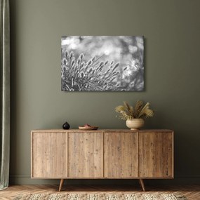 Obraz - Béžová soft grass N⁰1 (90x60 cm)