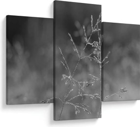 Obraz - Vidiecka lúka (90x60 cm)