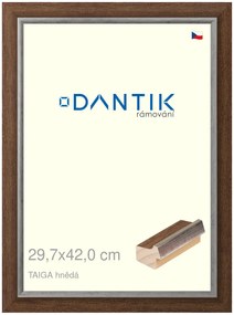 DANTIK rám na obraz 29,7x42 | TAIGA hnědá (Plexi Čiré)