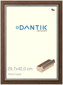 DANTIK rám na obraz 29,7x42 | TAIGA hnědá (Plexi Čiré)