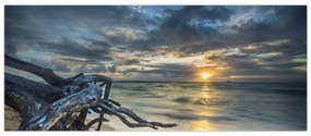Obraz mora pri západe slnka (120x50 cm)