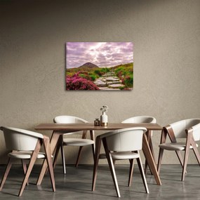 Obraz krajiny (70x50 cm)