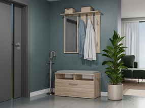 Vešiakový panel Oasis 1 (dub sonoma) (so zrkadlom). Akcia -14%. Vlastná spoľahlivá doprava až k Vám domov. 1132564