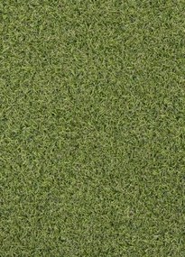 Koberce Breno Umelá tráva PRADO, šíře role 200 cm, zelená