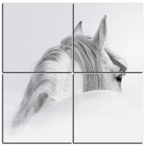 Obraz na plátne - Andalúzsky kôň v hmle - štvorec 3219D (60x60 cm)
