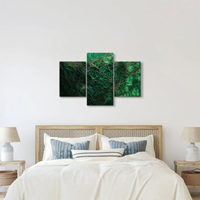 Obraz - Zelený mikroskopický záber (90x60 cm)
