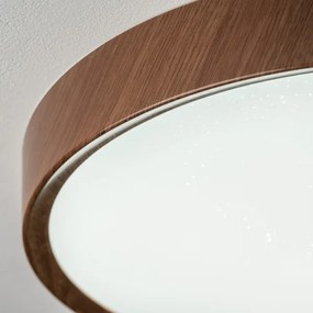 BRILAGI - LED stropné svietidlo NATURA LED/20W/230V 4000K pr. 33,7 cm