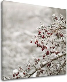 Obraz na stenu STROMY ST007E12