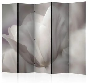 Paraván - Tulip - black and white photo II [Room Dividers]