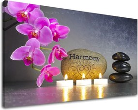 Obraz na stenu FENG SHUI FS023E11