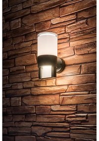 Rabalux 77130 - LED Vonkajšie nástenné svietidlo LEITHA LED/12W/230V IP44