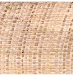 Závesné svietidlo Rattan, 1x ratanové tienidlo, (fi 40cm), w