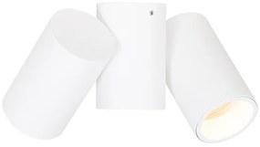 Dizajnové bodové svetlo biele 2-žiarovkové nastaviteľné - Michael