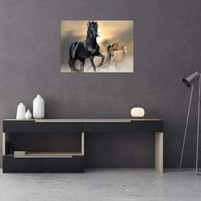 Sklenený obraz - Kone (70x50 cm)