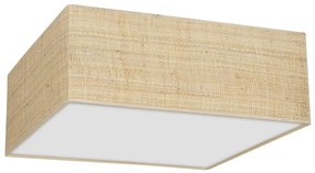 Stropné svietidlo MARSHALL 2xE27/60W/230V