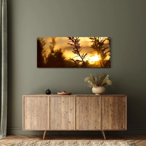 Obraz - Slnko zapadajúce za stromami (120x50 cm)