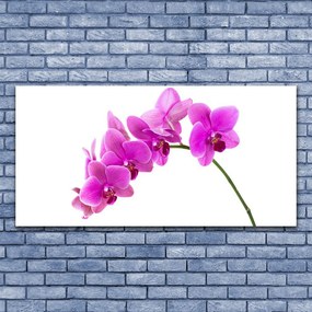 Obraz plexi Vstavač kvet orchidea 120x60 cm