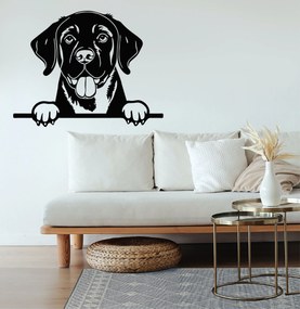 Veselá Stena Samolepka Labradorský retriever Farba: černá, Veľkosť: 60 x 46 cm