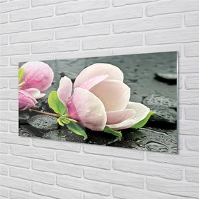 Nástenný panel  Magnolia kamene 120x60 cm