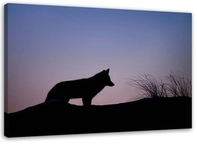 Obraz na plátně Wolf Purple Sunset - 100x70 cm
