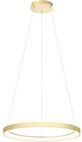 Redo 01-2673-LED Stmievateľný luster na lanku ICONIC LED/50W/230Vpr. 58 cm zlatá