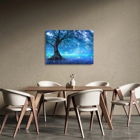 Sklenený obraz - Mystický les (70x50 cm)