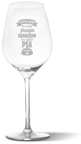 Sablio Pohár na víno Tento dom: 49 cl