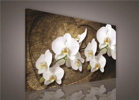Obraz na stenu biela orchidea na drevenom srdci 75 x 100 cm