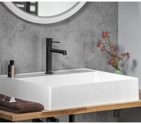 Matne čierna stojančeková umývadlová batéria Solaris – Sapho