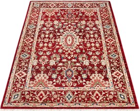 TA Koberec EE65B RED RIVOLI FPH Rozmer: 80x150 cm