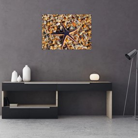 Obraz morskej hviezdice (70x50 cm)