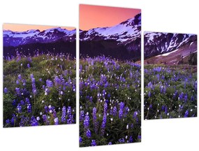 Obraz - Sopka a kvety (90x60 cm)