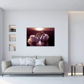 Obraz - Labute na jazere (90x60 cm)
