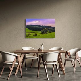 Obraz lúky (90x60 cm)